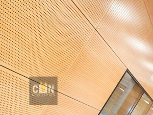 Alternative view of Gỗ tiêu âm đục lỗ CVN